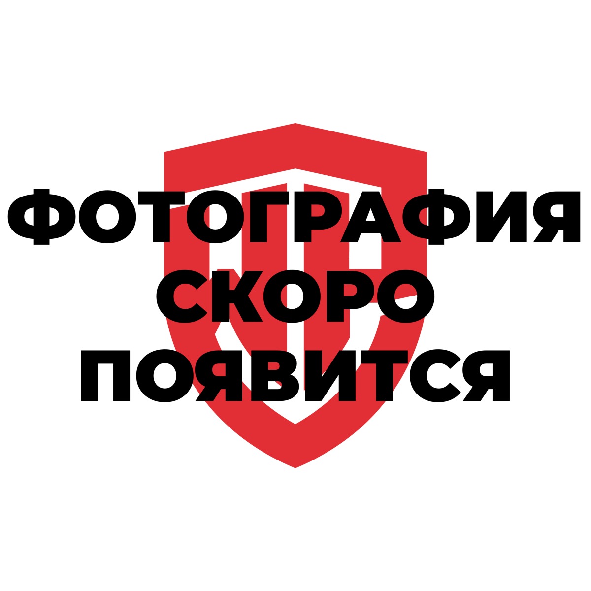 Отвертка трещоточная набор 18 предметов WP200516 WORKPRO купить в  Прокопьевске по цене 673 Руб. с доставкой, отзывы владельцев